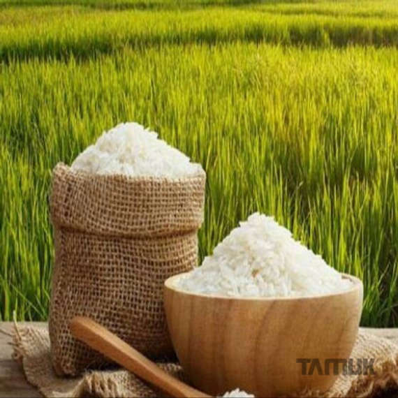 برنج پنج ستاره سید شریف شمال